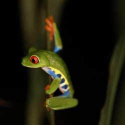 Landing in Costa Rica (July&nbsp;25)